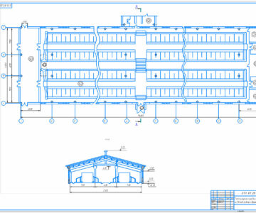 Чертеж План фермы на 200 голов