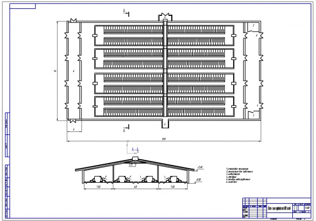 Чертеж Коровник на 800 голов