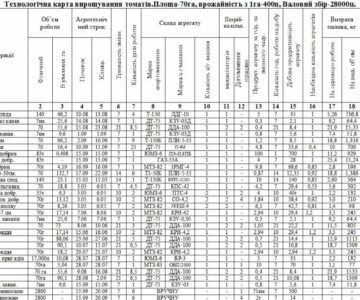 Чертеж Технологическая и операционная карта выращивания томатов