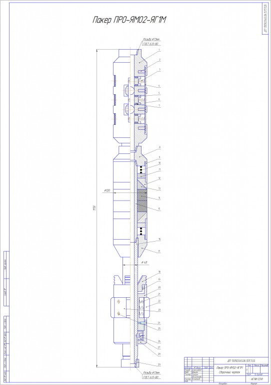 Чертеж Сборочный чертеж пакера ПРО-ЯМО2-ЯГ1М