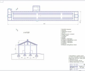 Чертеж Чертеж коровника на 124 головы