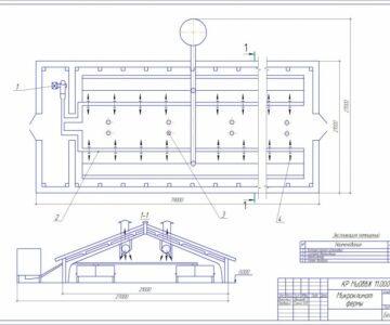 Чертеж Курсовая работа по машинам и оборудованию в животноводстве (механизация птицеводческой фермы на 20000 бройлеров)