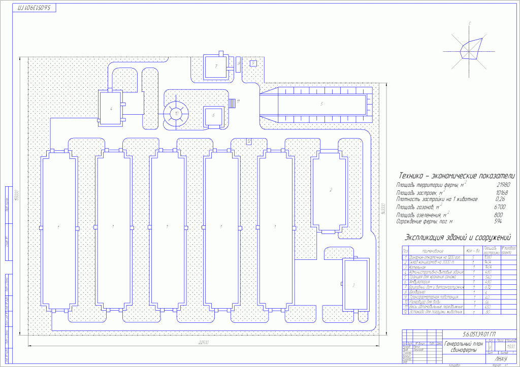 Чертеж Генплан свинофермы на 5000 голов