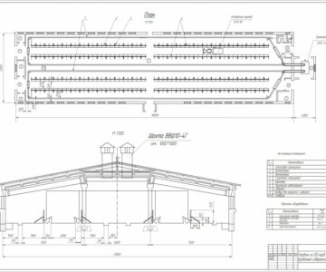 Чертеж Чертеж  генерального плана коровника на 200 коров