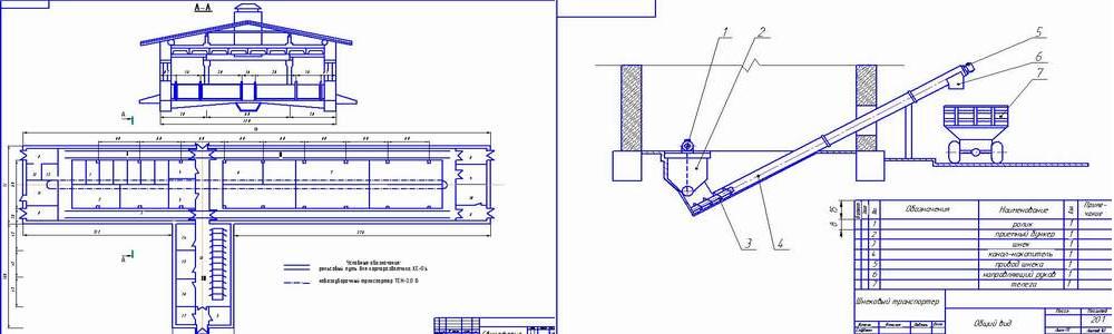 Чертеж Свиноферма 100 голов + шнековый транспортер