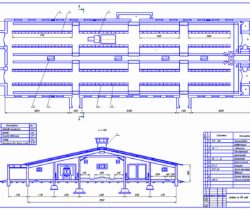 Чертеж План и разрез коровника