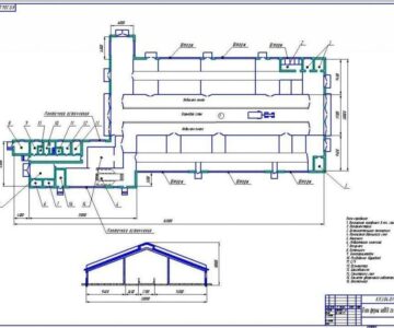 Чертеж Животноводческая ферма на 100 голов.