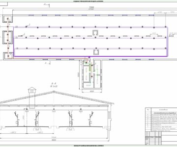 Чертеж Электрификация коровника ОАО "Племзавод им. М.Горького" с разработкой энергосберегающей системы освещения