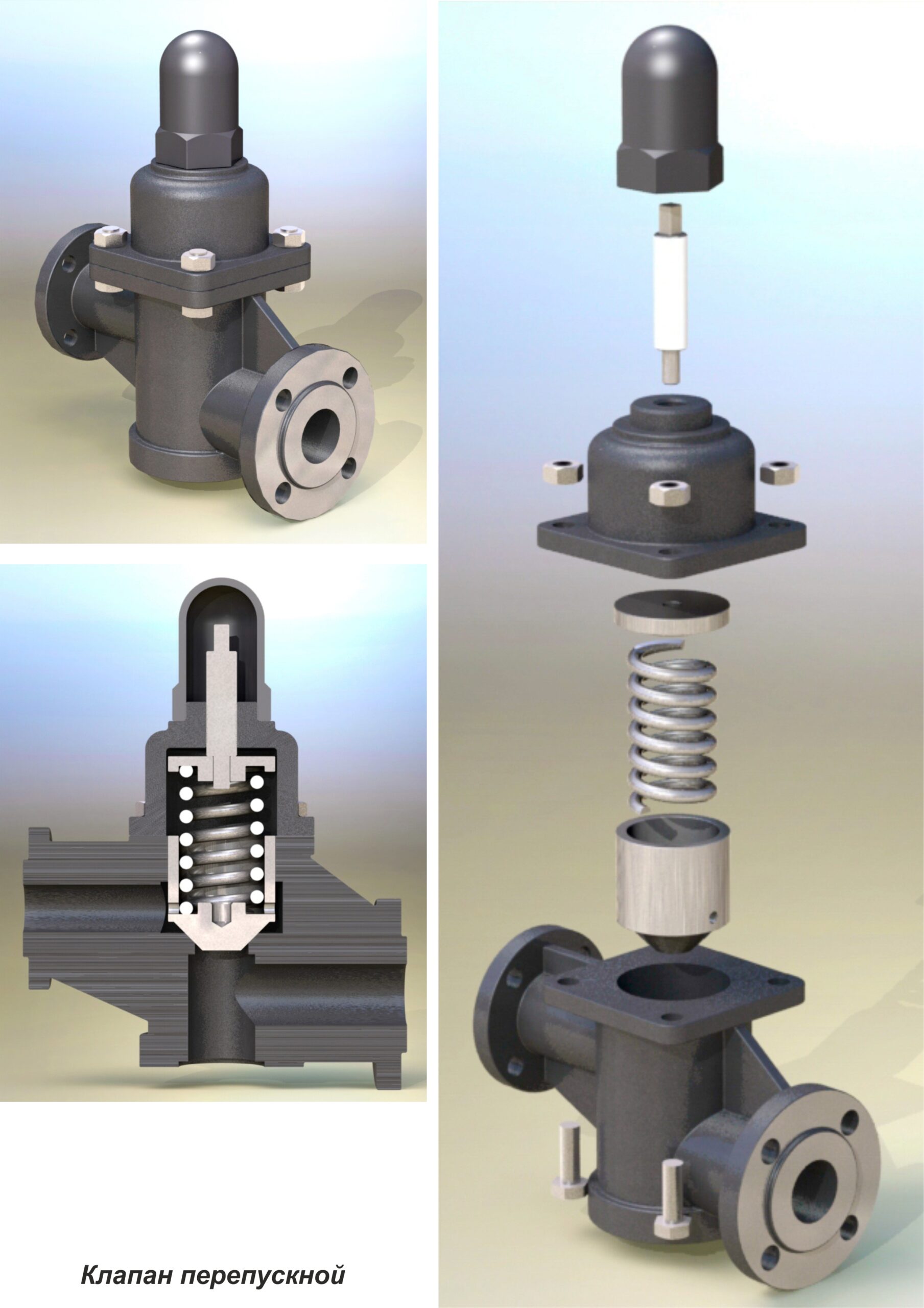 3D модель Клапан перепускной SolidWorks