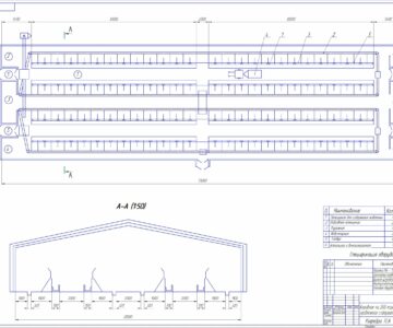 Чертеж Коровник привязного содержания на 200 голов