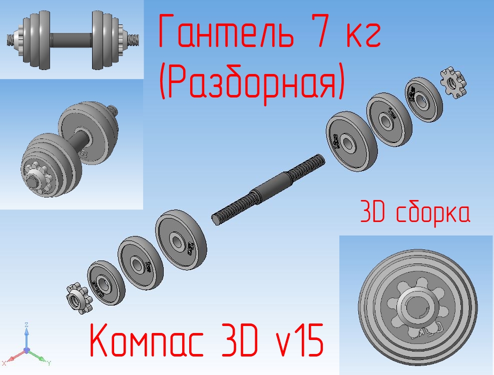 3D модель Гантель разборная 7 кг