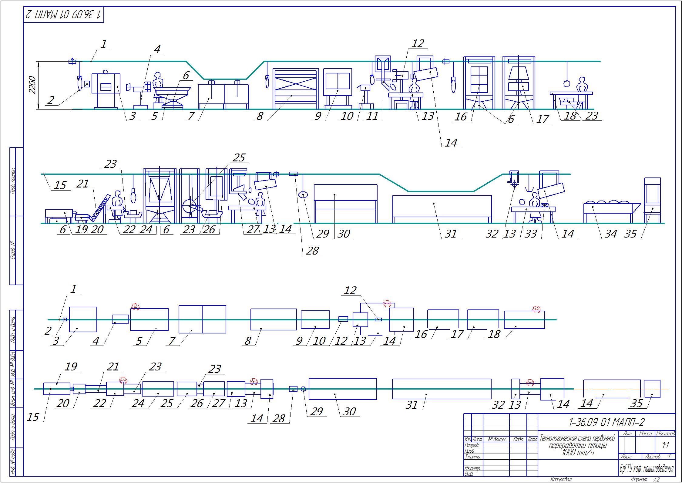 Чертеж Линия первичной переработки птицы 1000 шт/ч