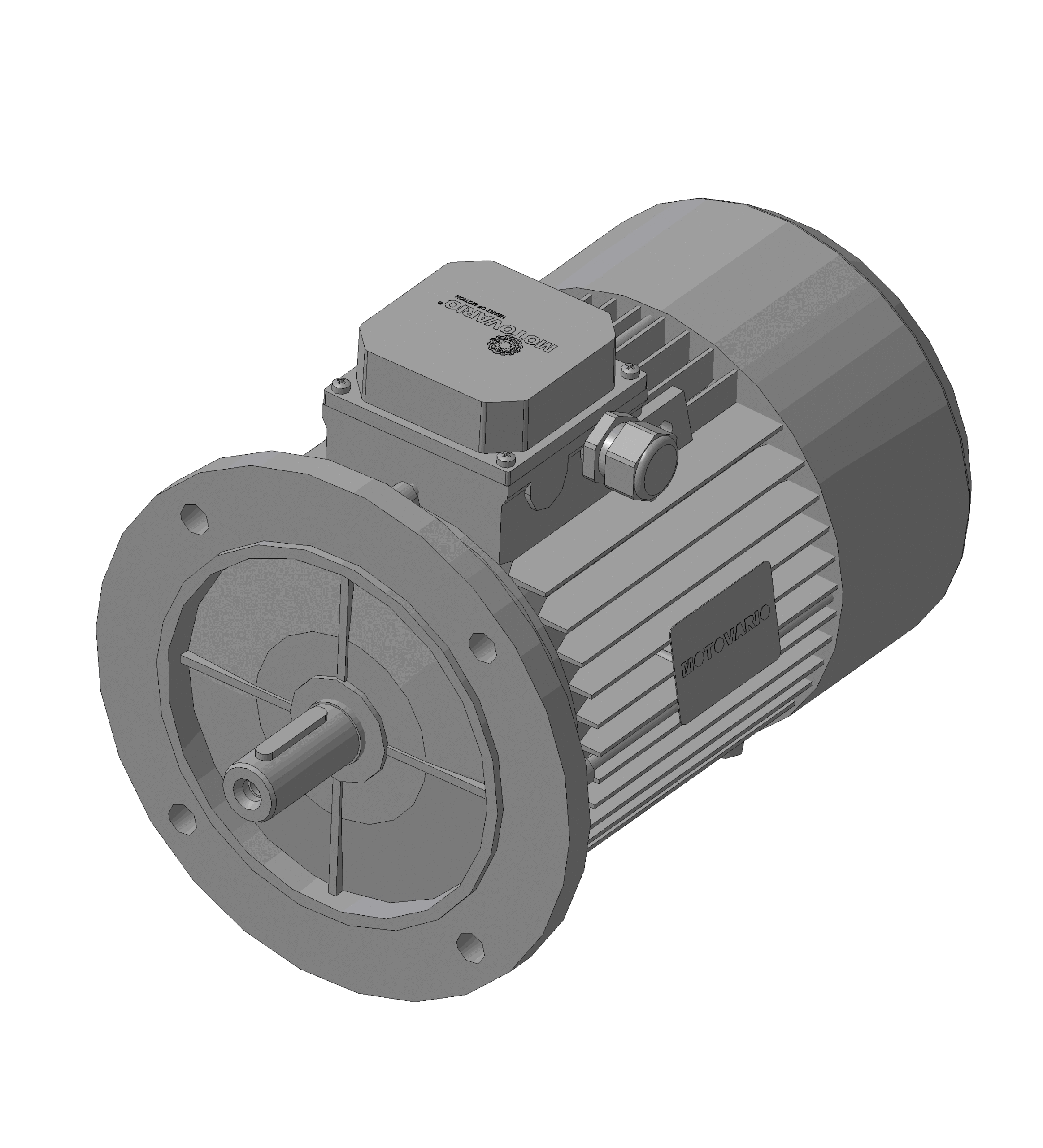 3D модель Электродвигатель MOTOVARIO T112IC411B525028X60A002STD