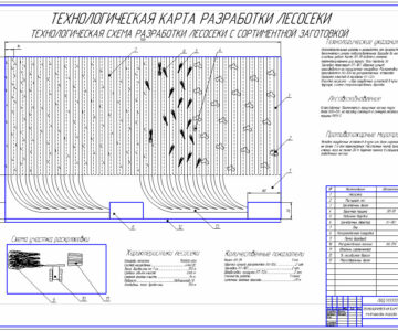 Чертеж Технологическая карта разработки лесосеки