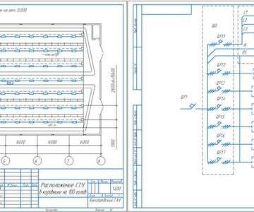 Чертеж Расчет системы освещения коровника на 100 голов