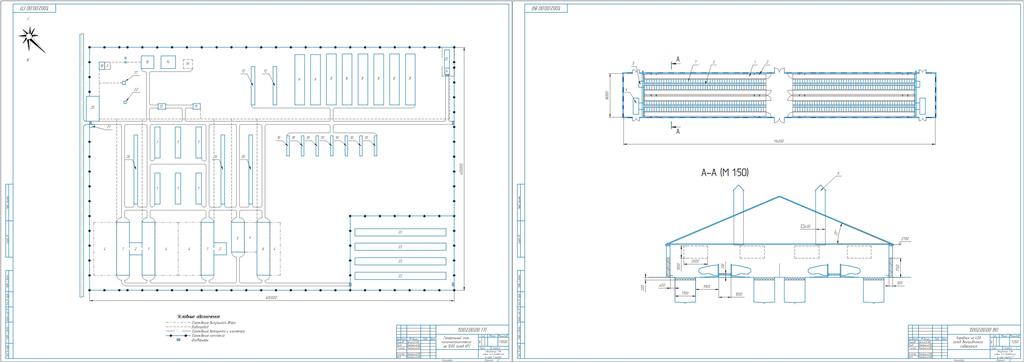 Чертеж Комплексная механизация фермы КРС на 1200 голов беспривязного содержания с доением в доильном зале