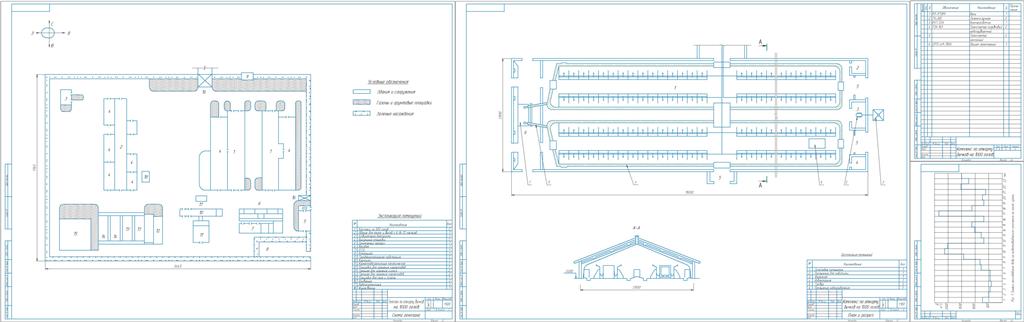Чертеж Разработка проекта комплекса по откорму бычков на 1000 голов