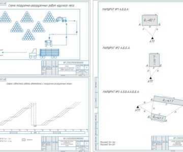 Чертеж Организация перевозки круглого леса