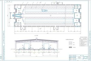 Чертеж Разработка процесса приготовления и раздачи кормов на молочной ферме 400 голов привязного содержания в двух помещениях с узкими кормовыми проходами с разработкой транспортера корнеклубнеплодов ТК-5,0