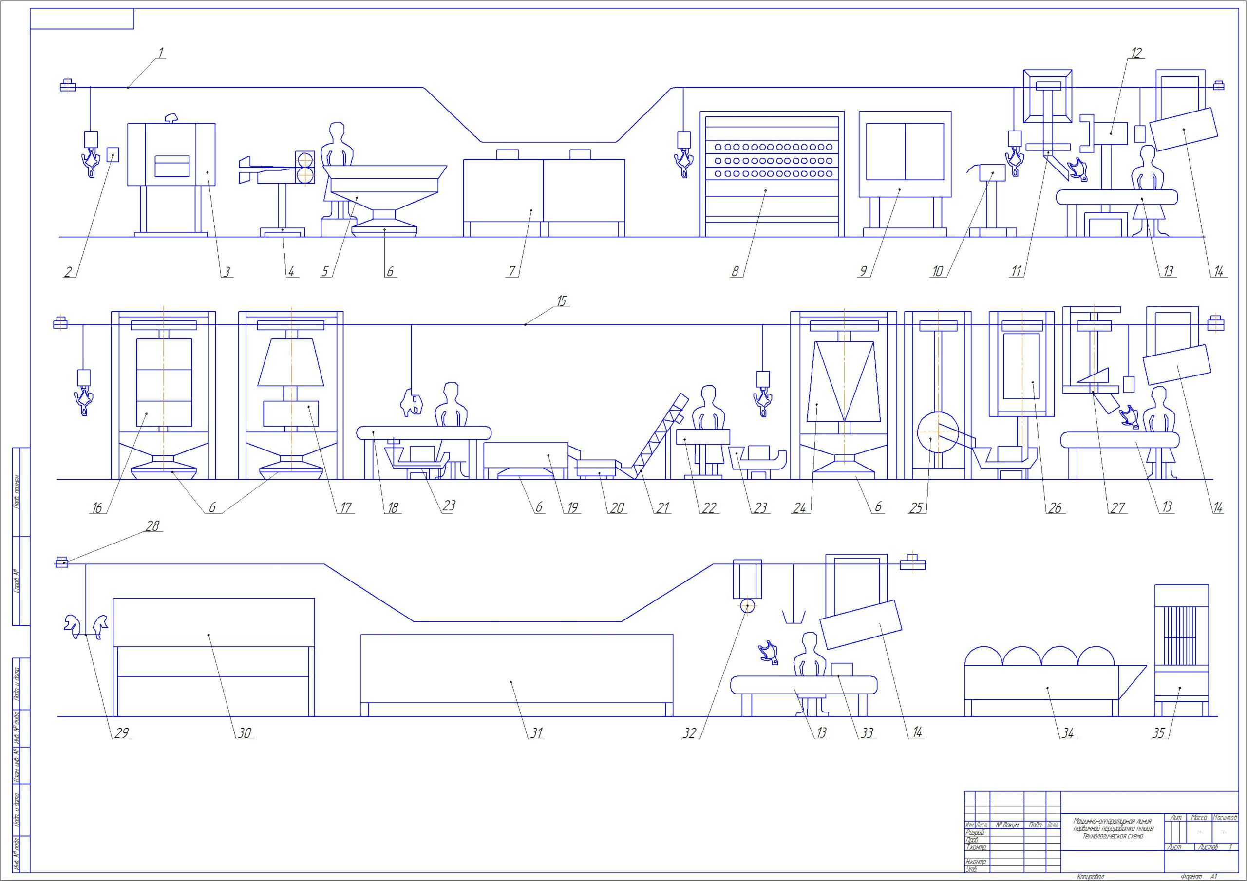 Чертеж Технологический процесс первичной переработки птицы
