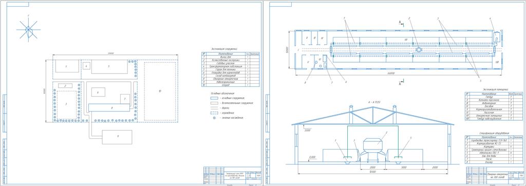 Чертеж Проектирование крестьянско-фермерского хозяйства по производству свинины на 100 голов разовой постановки с разработкой поточной технологической линии водоснабжения