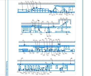 Чертеж Первичная переработка свиней