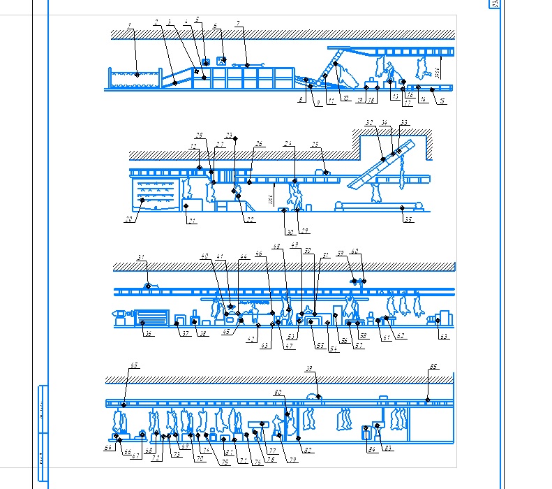 Чертеж Первичная переработка свиней