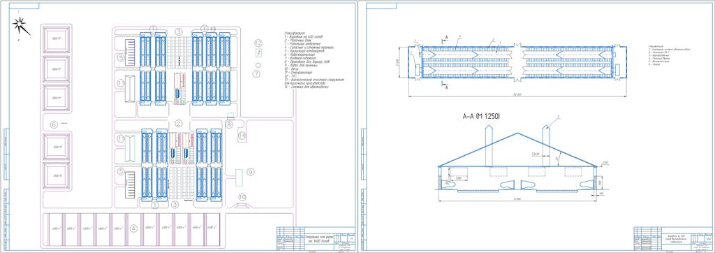 Чертеж Комплексная механизация фермы КРС на 3600 голов беспривязного содержания с доением в доильном зале