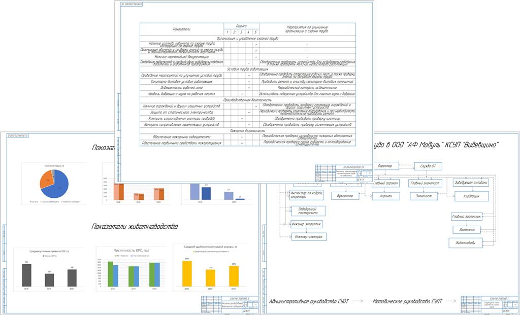 Чертеж Повышение эффективности работы в ООО «АФ Модуль» КСУП «Видевщина» на основе улучшения системы управления охраной труда