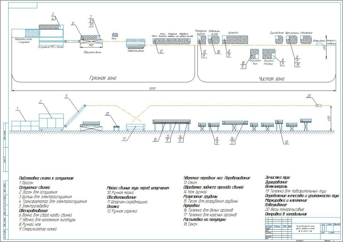 Чертеж Технологическая линия убоя и разделки свиней до 16 голов в час