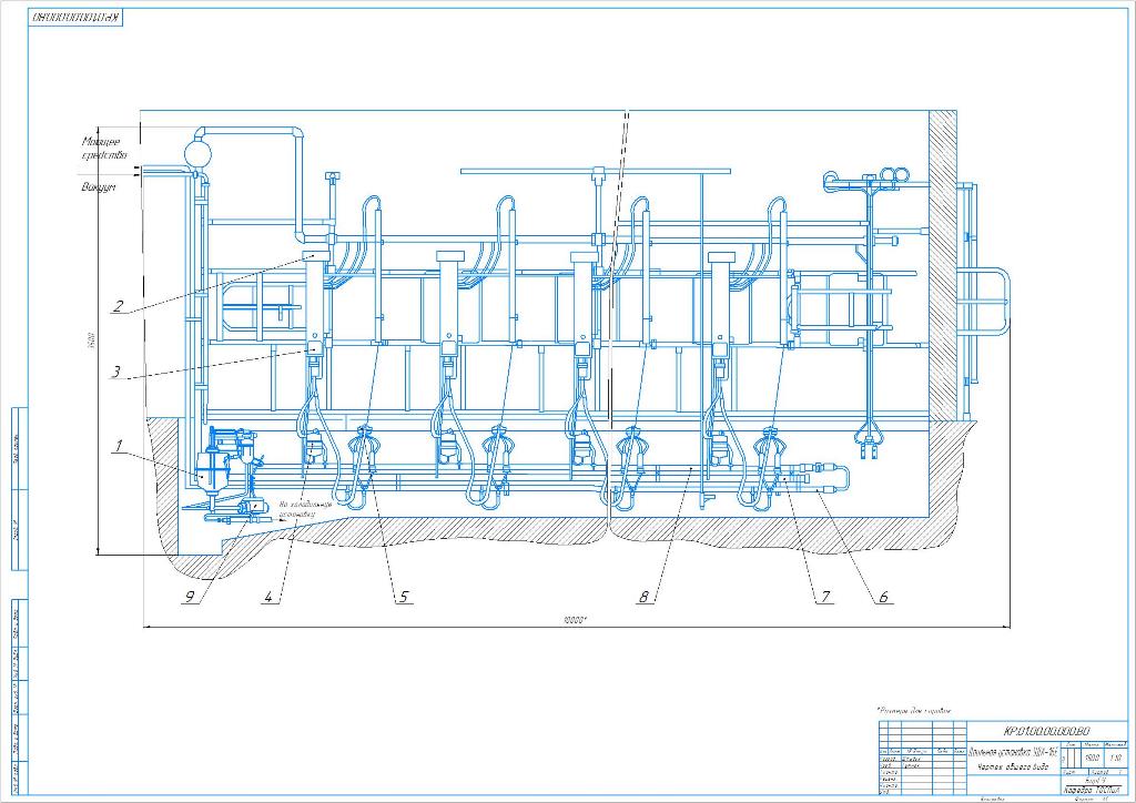 Чертеж Механизация молочно-товарной фермы на 600 голов крупного рогатого скота с усовершенствованием установки доильной УДА-16Е.