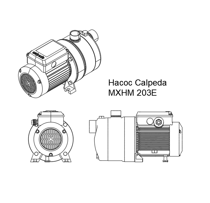 3D модель Насос Calpeda MXH 203 и MXH 204