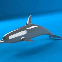 Дельфин 3D