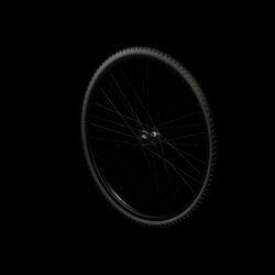 3D модель велосипедного колеса