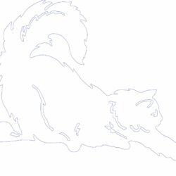 Флюгер кот (кривой безье)