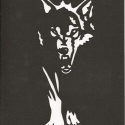 Волк из тени