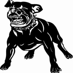 Табличка с изображением злой собаки
