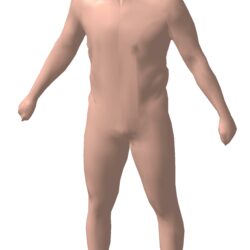 Модель человека 3д