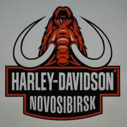 Харлей Дэвидсон Новосибирск DXF